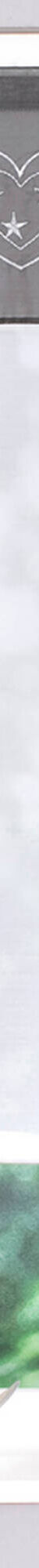 Store broderies motifs coeurs finition passe-tringle (gris / blanc) Store broderies motifs coeurs finition passe-tringle (gris / blanc)